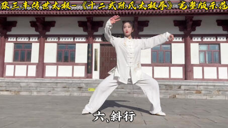陈氏太极拳十二式_示范版