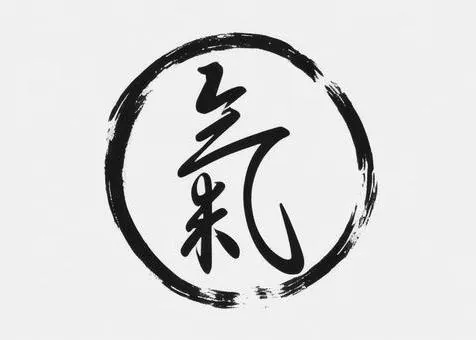 汉字开悟说“气”