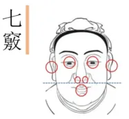 器官多有“孔窍”，人有“十窍”，面上七窍