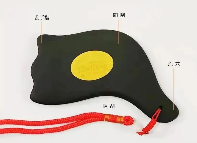 扁鹊板功用图解